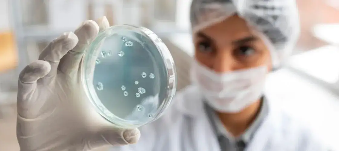 Mikrobiolog: Odkryj zaskakujące ścieżki kariery i zarobki