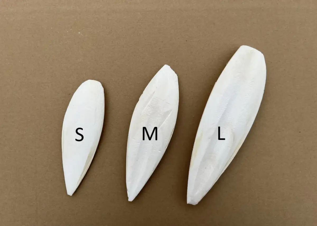 Sepia czy kostka wapienna? Ekspert radzi, co wybrać dla ptaka