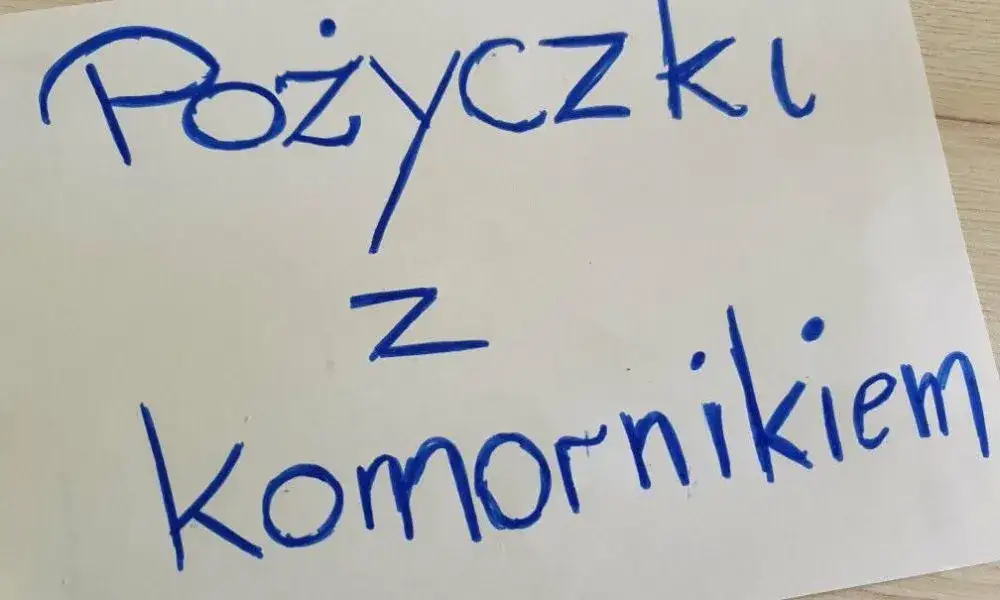 Gdzie dostanę pożyczkę z komornikiem i uniknę dodatkowych problemów?