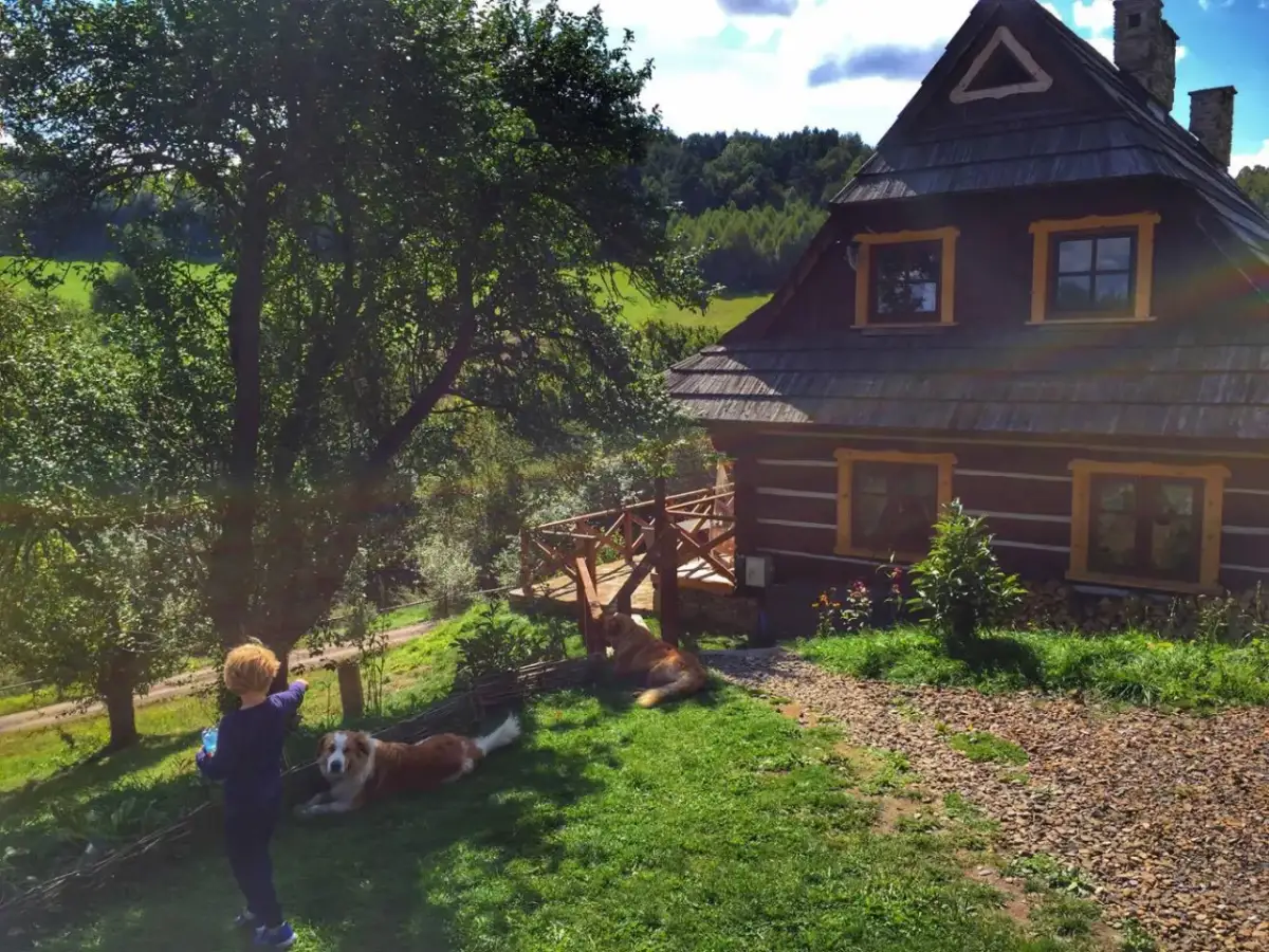 Nocleg w Bieszczadach: Jak wybrać idealne miejsce? Przewodnik