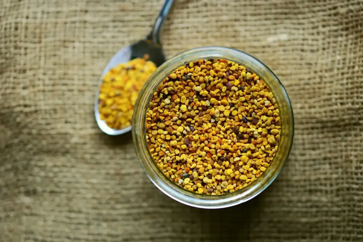 Jak wspierać odporność i energię? Rola suplementów w jesiennym menu