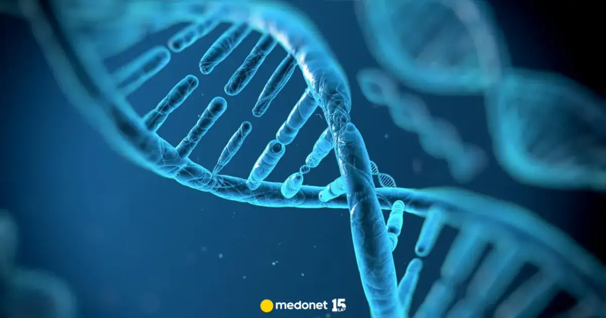 Co to jest kod genetyczny? 7 cech, które rządzą życiem