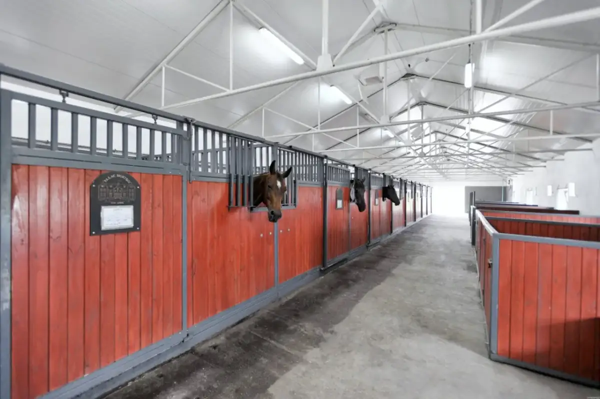 Stadnina koni Zgierz: Gdzie jeździć? Twój przewodnik po stajniach