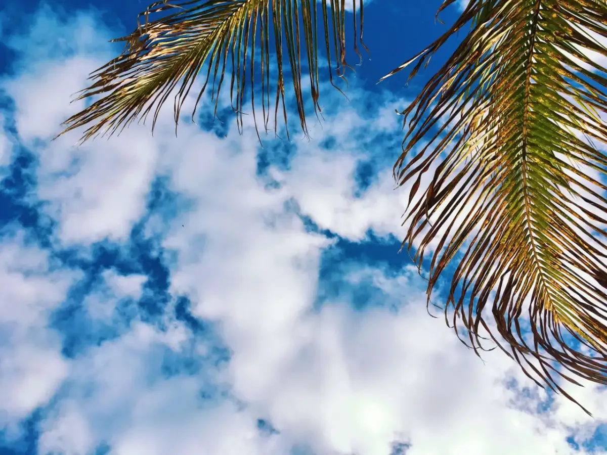 Luty pod palmami: Sprawdzone kierunki na słoneczny urlop i ucieczkę przed zimą