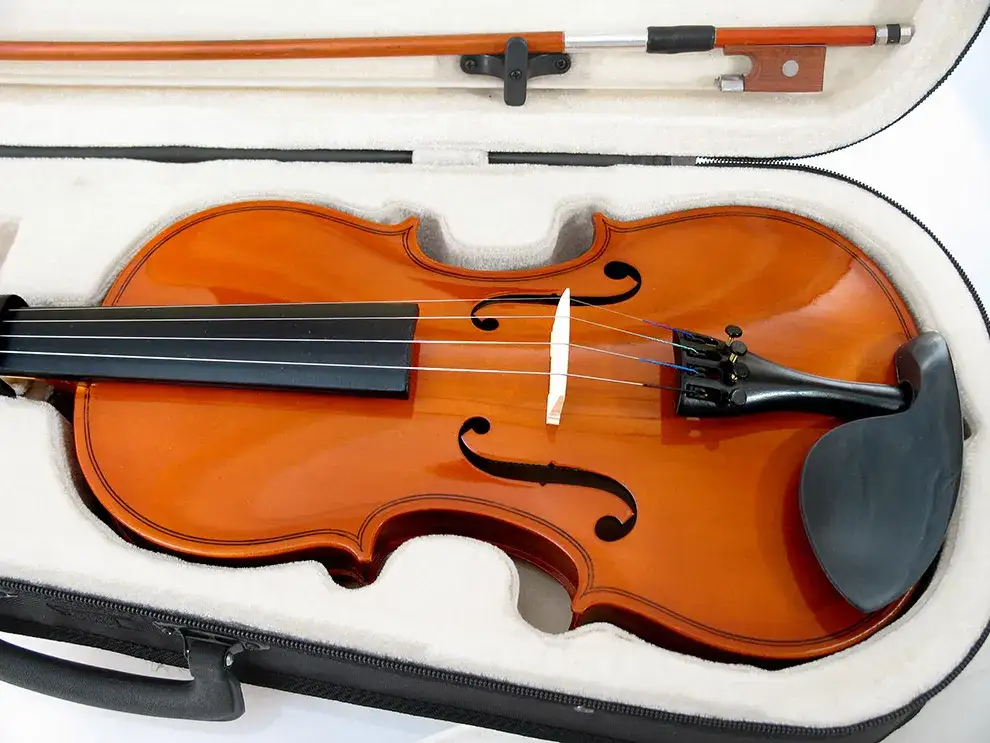 Jakie drewno na skrzypce? Kluczowe gatunki i ich wpływ na brzmienie