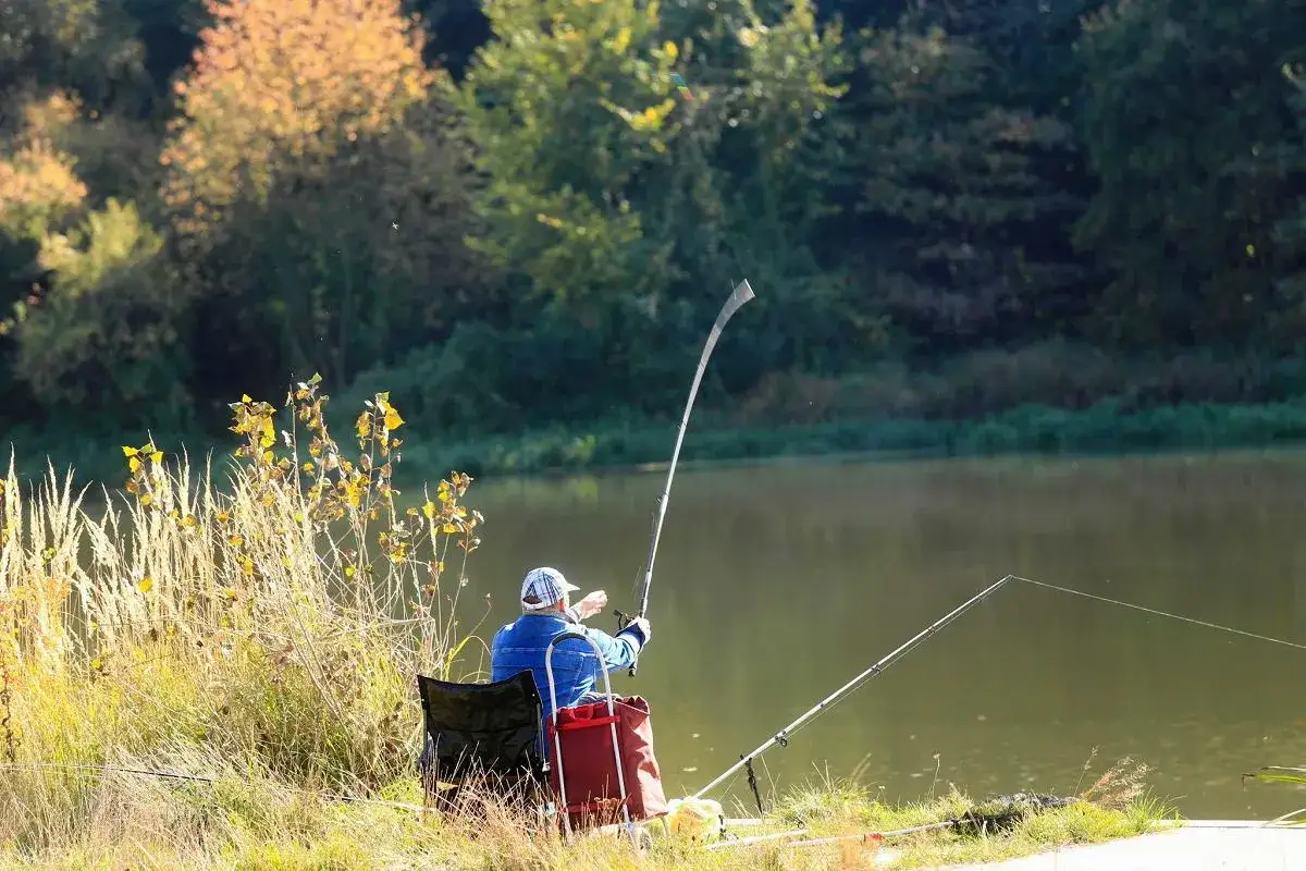 Jak uniknąć problemów z opłatą karty wędkarskiej przez internet