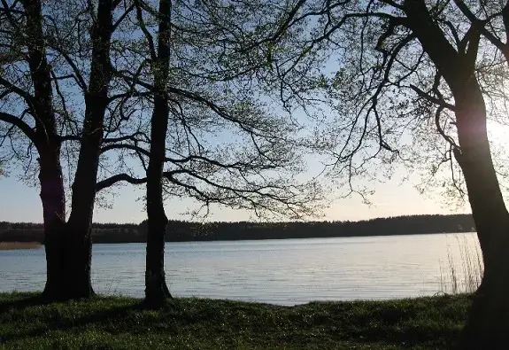 Jezioro Dołgie - odkryj piękno i atrakcje w Polsce, które musisz znać