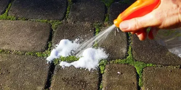 Skuteczne sposoby na usunięcie mchu z kostki brukowej bez wysiłku