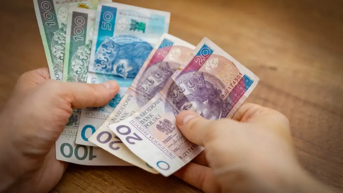 Bezpłatny staż: Kiedy jest legalny, a kiedy to pułapka?