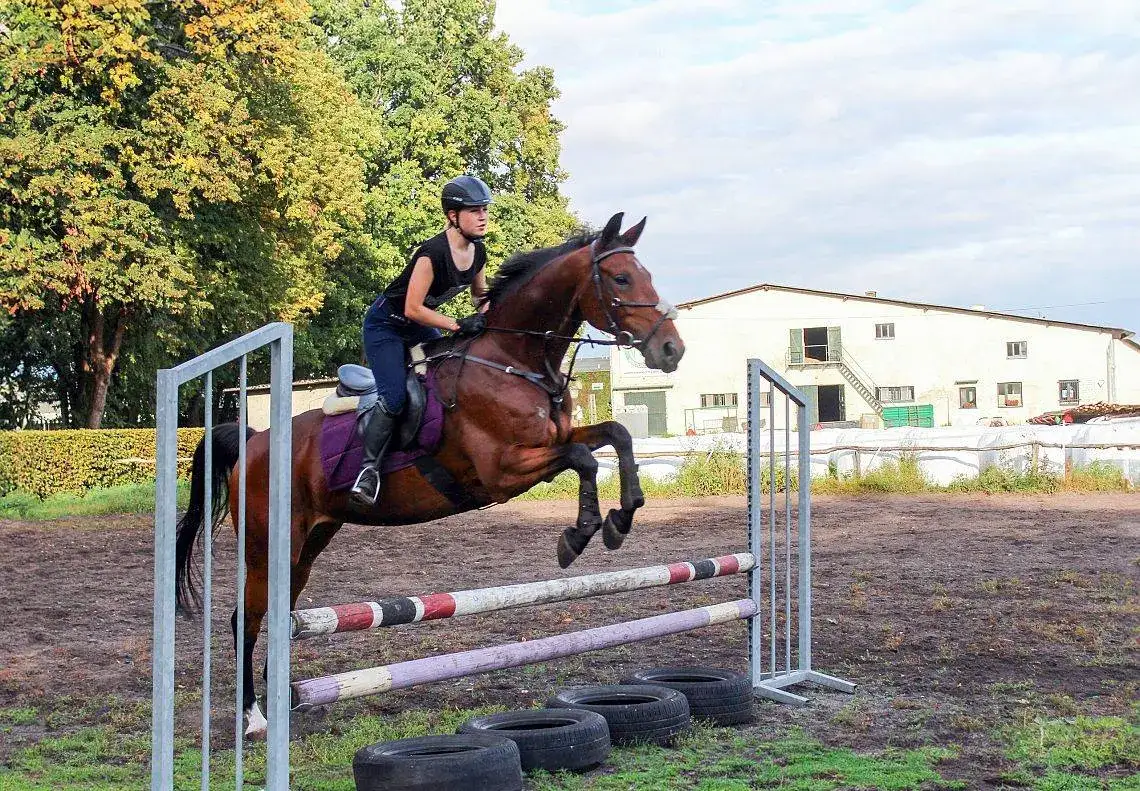 Jak zdobyć brązową odznakę PZJ i uniknąć najczęstszych błędów