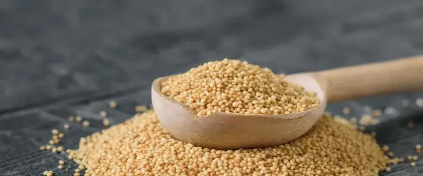 Czy amarantus ma gluten? Dowiedz się, dlaczego jest bezpieczny dla Ciebie