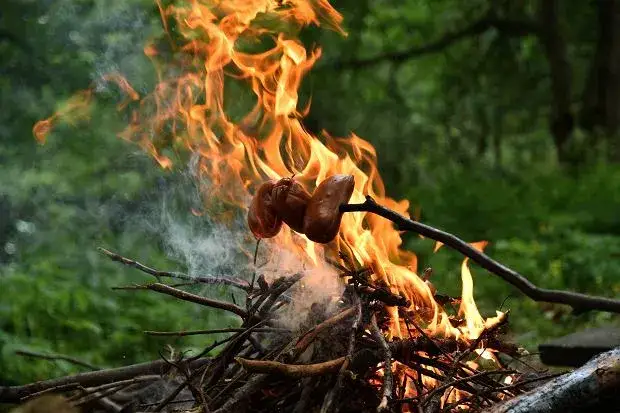 Gdzie można palić ognisko? Sprawdź legalne miejsca i zasady