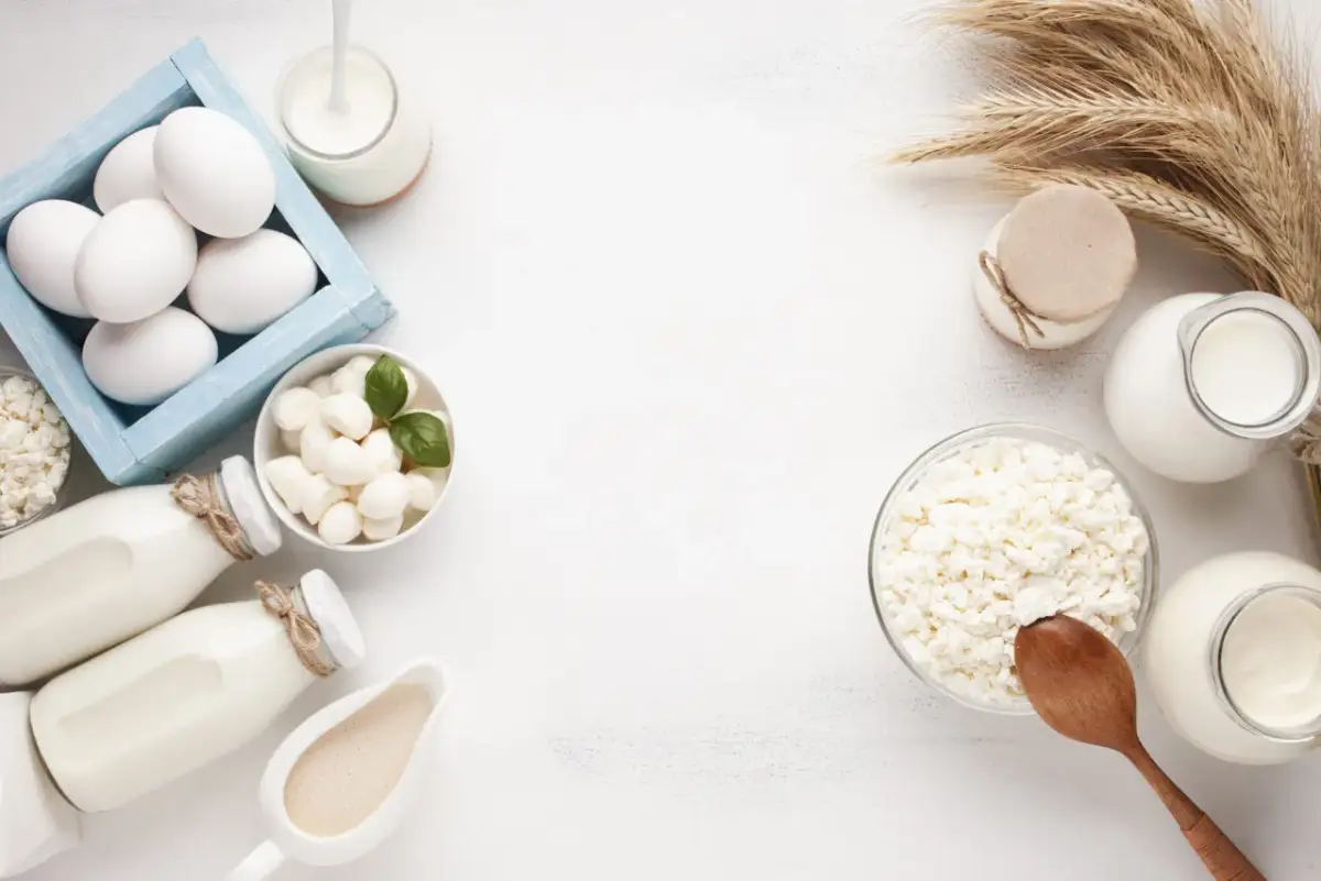 Białko przed czy po treningu redukcja? Jajka, twaróg, jogurt i mleko to świetne źródła białka wspierające regenerację i budowę mięśni.