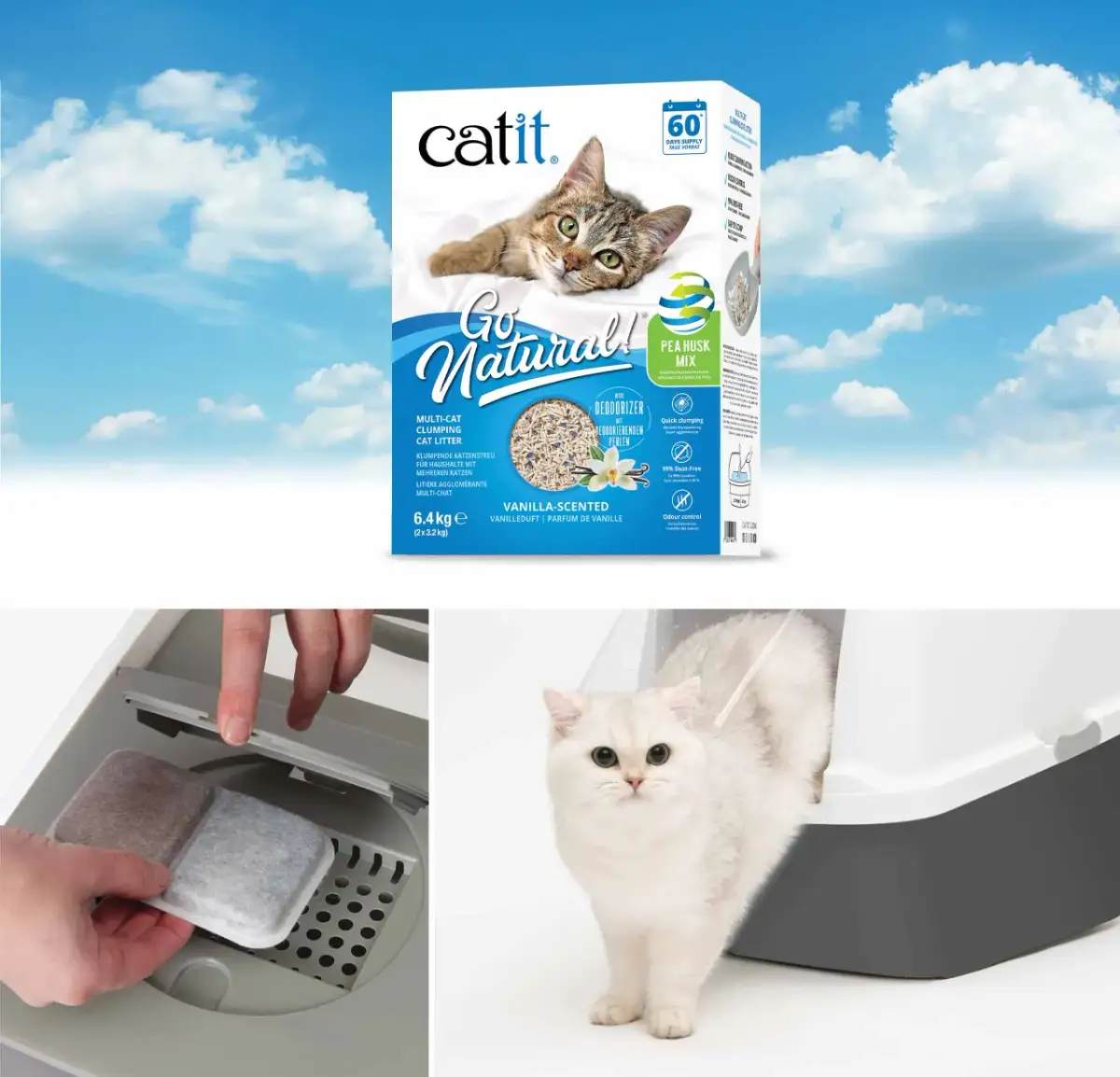 Cuánto cuesta un gato: descubre los gastos ocultos que no esperas