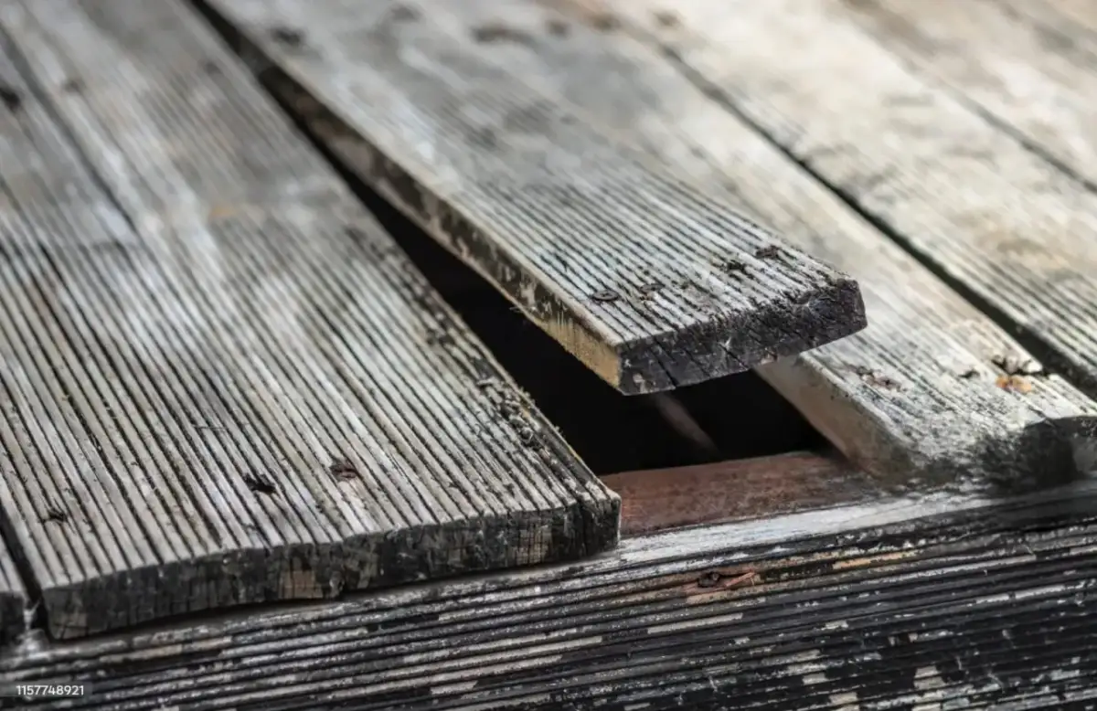 Wkręty do tarasu z modrzewia: wybierz mądrze i ciesz się latami!