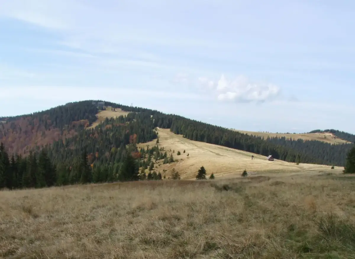 Jaki szlak na Turbacz? Odkryj najłatwiejsze trasy i ich czas przejścia