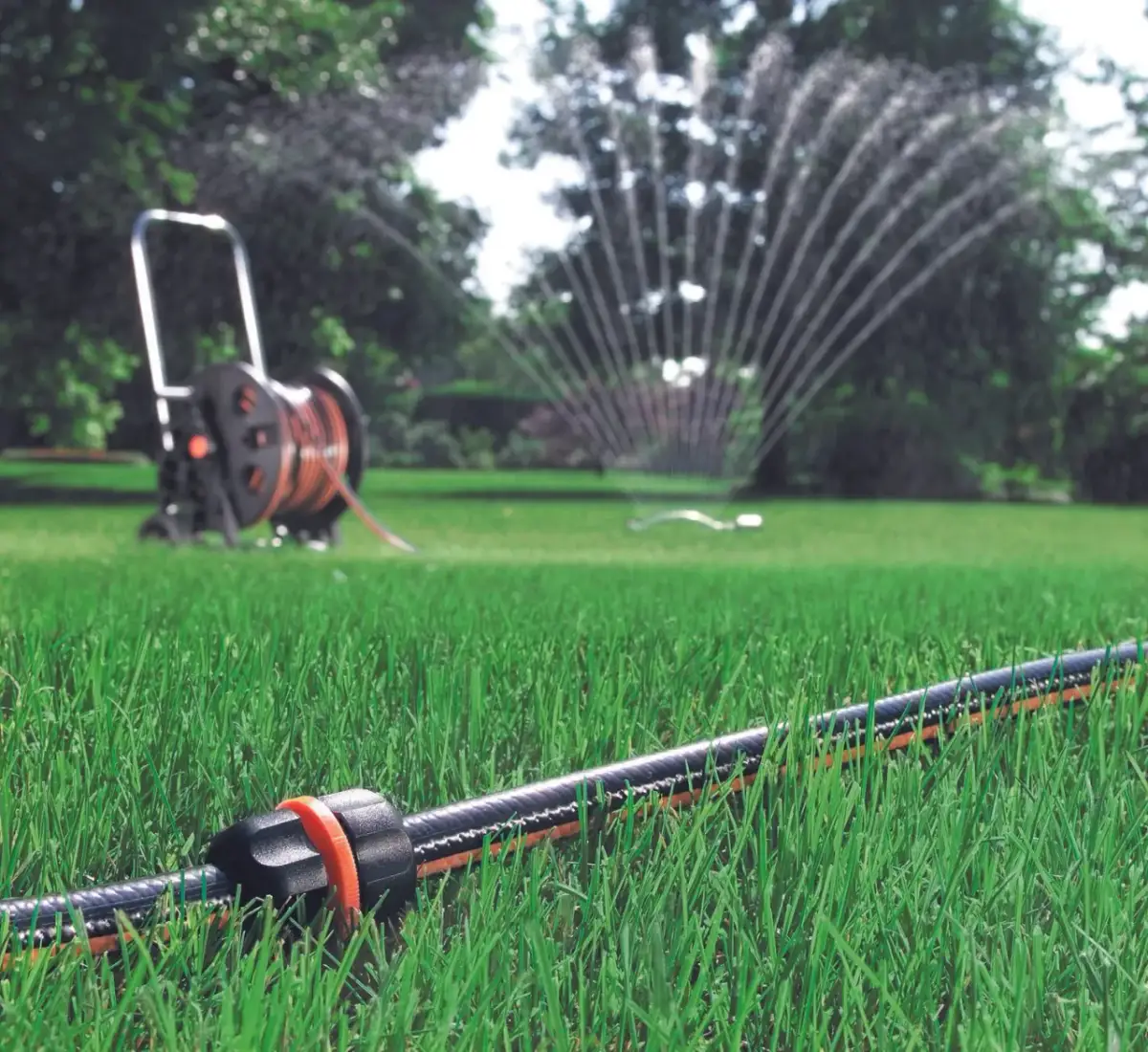 Ile minut podlewać trawnik zraszaczem? Sprawdź wskazówki eksperta
