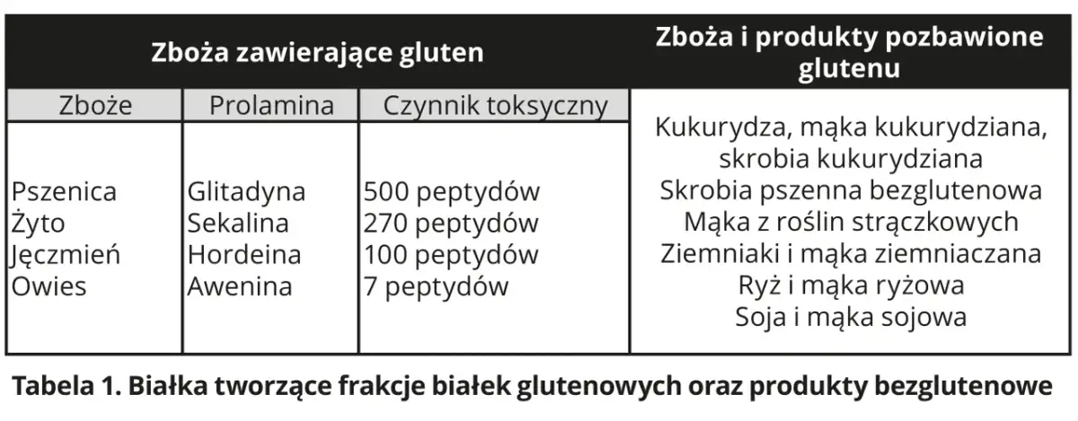 Mąka żytnia a celiakia: Gluten, fakty i alternatywy