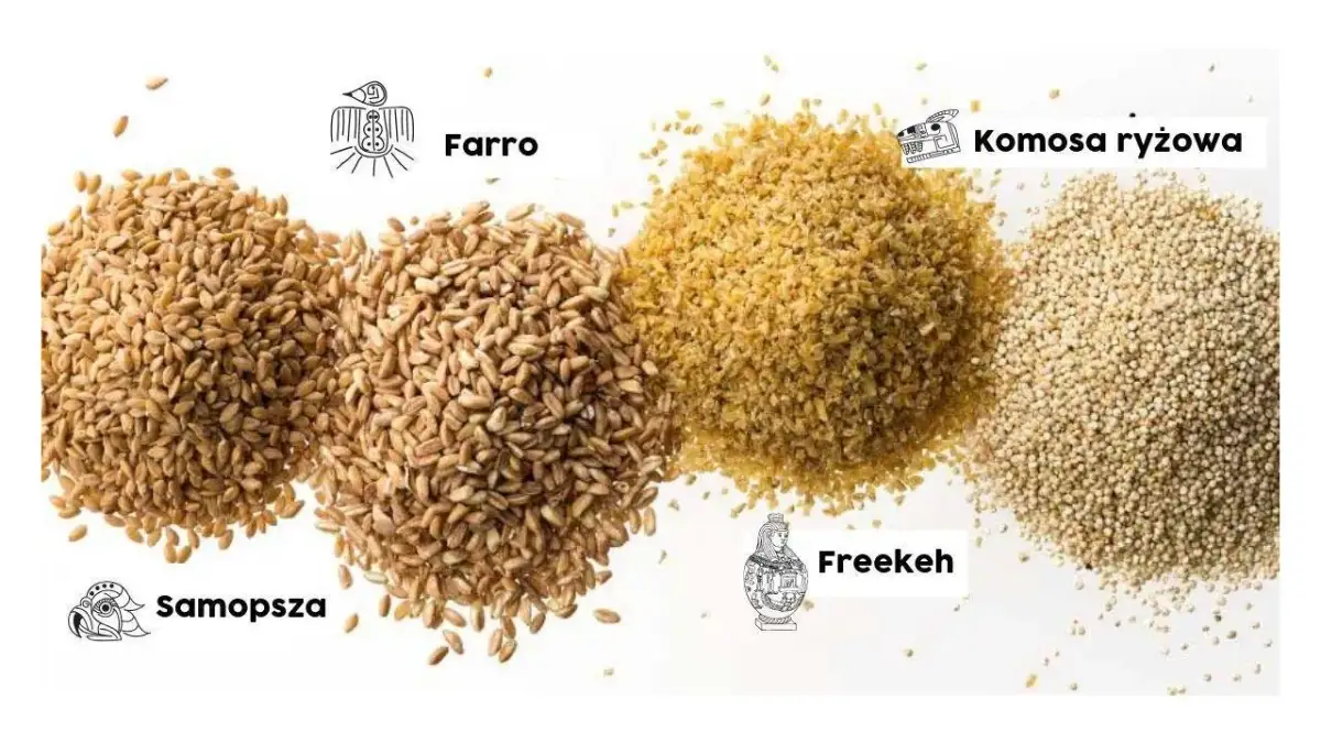 Jakie zboże dla gęsi zapewni im zdrowie i dobrą kondycję?