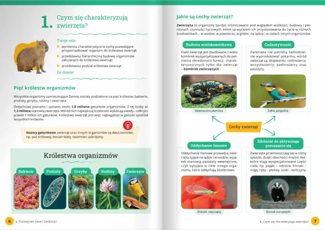 Od której klasy jest biologia? Kluczowe informacje dla rodziców i uczniów
