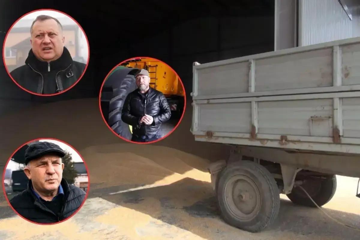 Jak otworzyć skup zboża i uniknąć najczęstszych błędów?