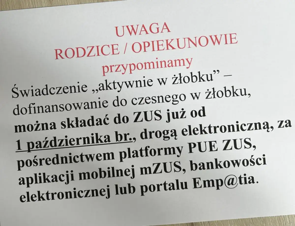 Dofinansowanie do żłobka można składać do ZUS już od 1 października br. drogą elektroniczną.