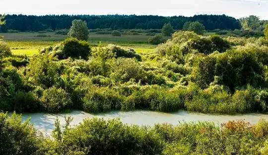 Trasy motocyklowe Podlasie: odkryj malownicze szlaki i atrakcje