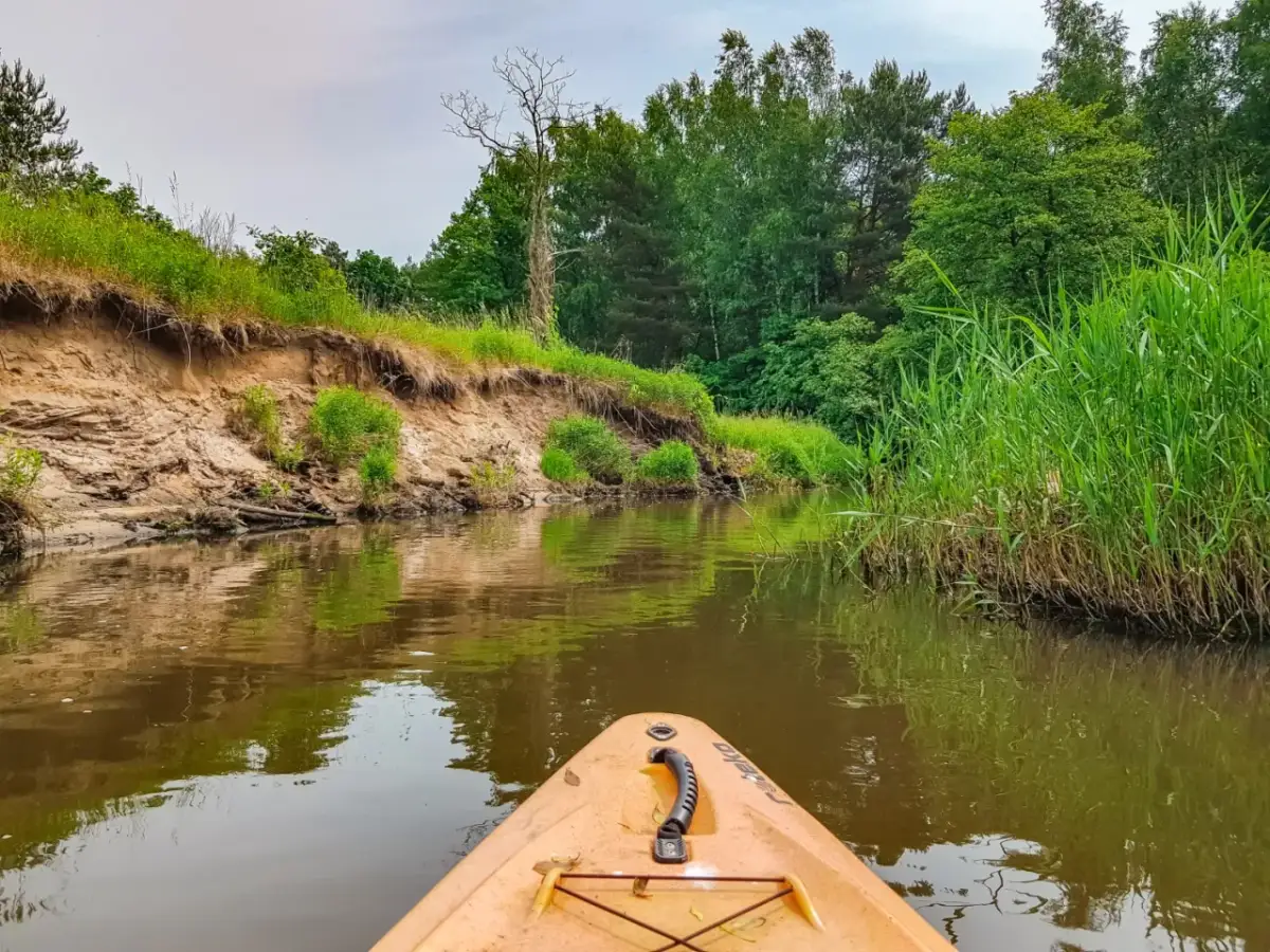 Spływ kajakowy Rudą: trasy, ceny, organizacja Twój przewodnik!