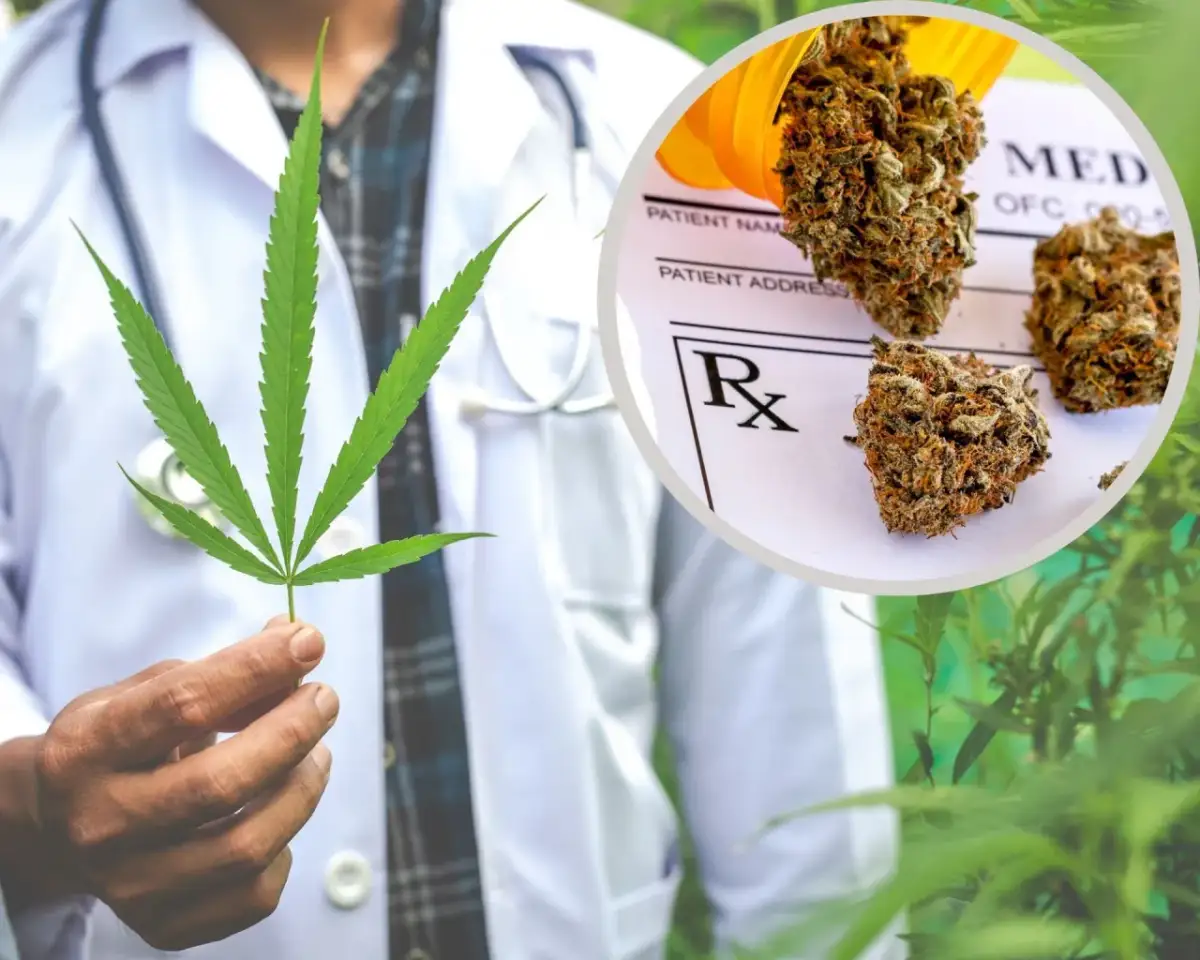 Kilogram marihuany w Polsce: Cena, ryzyko i legalna alternatywa