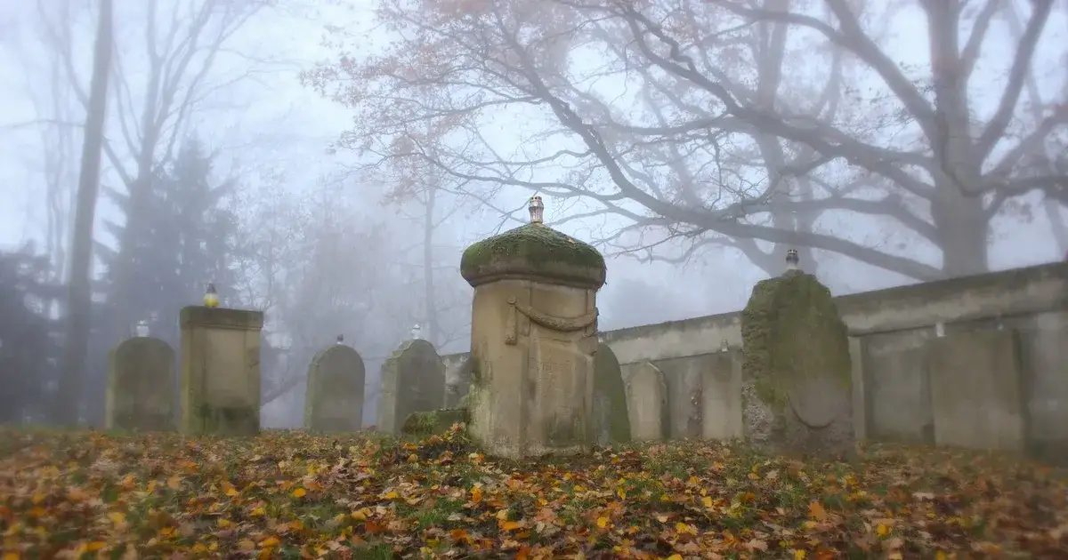 Ile hektarów ma cmentarz w Szczecinie? Zaskakujące fakty o nekropolii
