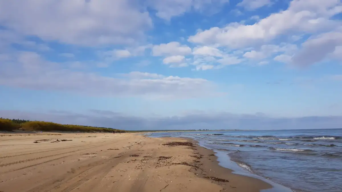 Pusta plaża nad Bałtykiem, gdzie fale delikatnie obmywają brzeg. To właśnie tu, dzięki licznym rzekom i niewielkiemu parowaniu, dowiadujemy się, dlaczego Bałtyk jest mało zasolony.