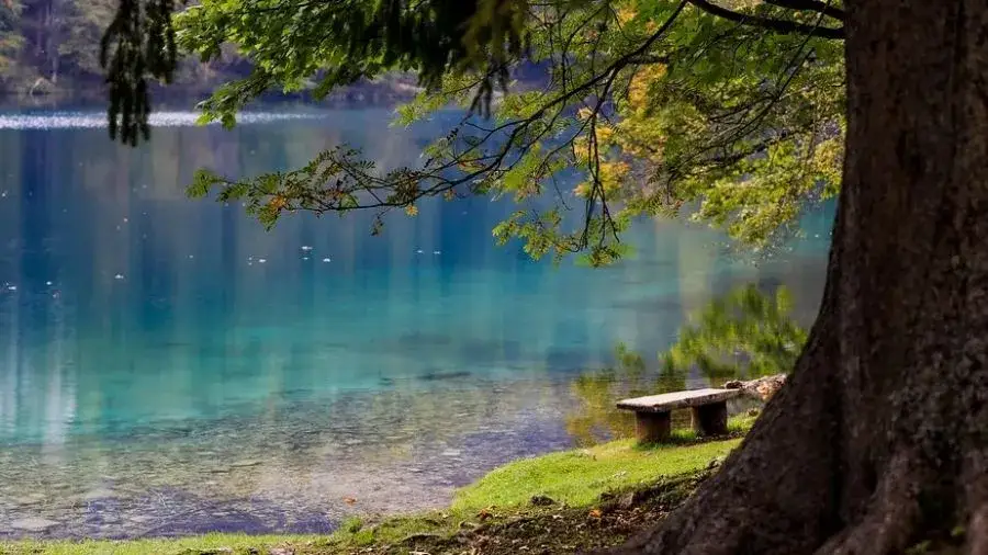 Jezioro Orle Kujawsko Pomorskie – idealne miejsce na relaks i przygodę