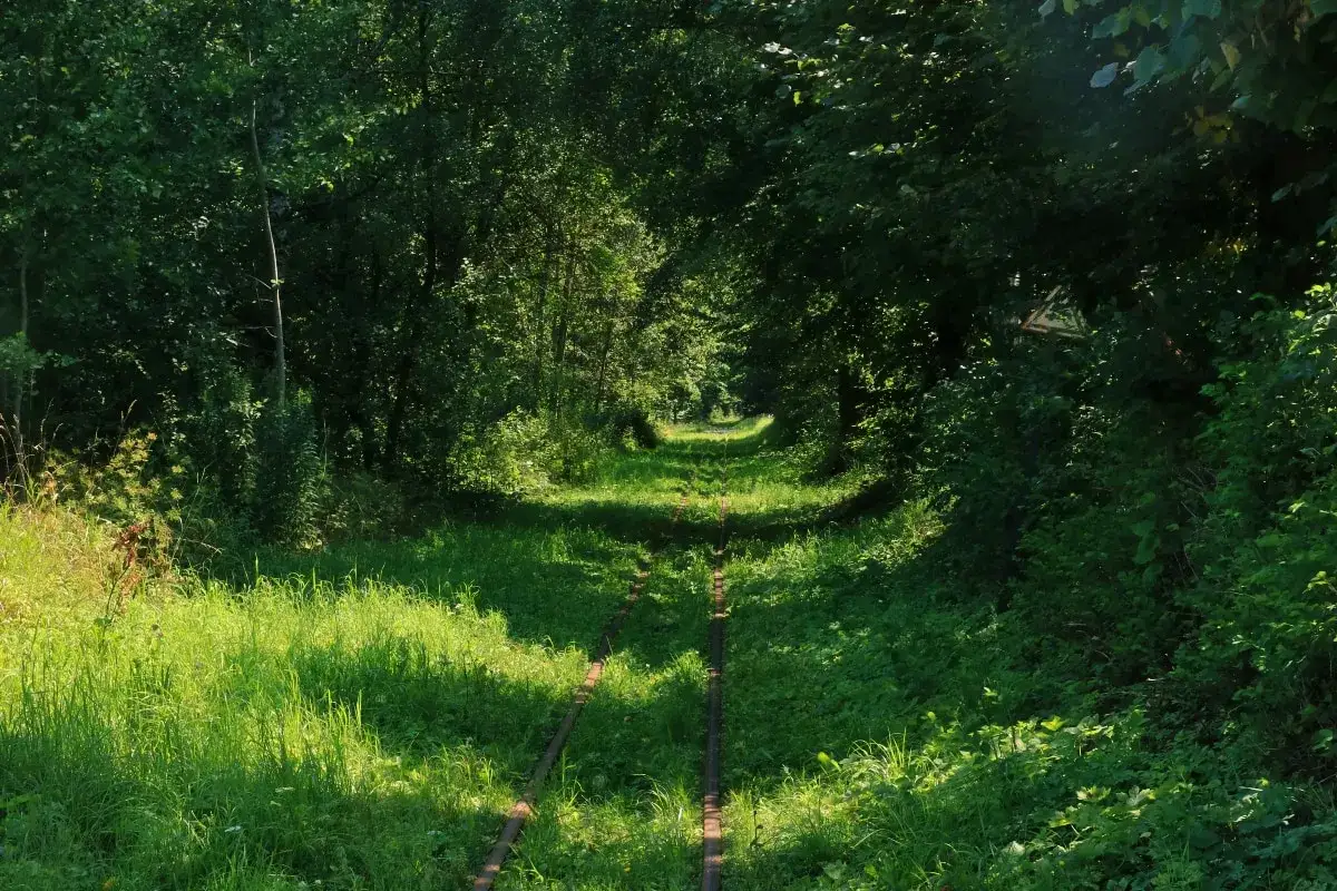 Hajnówka atrakcje: Odkryj niezwykłe miejsca, które musisz zobaczyć