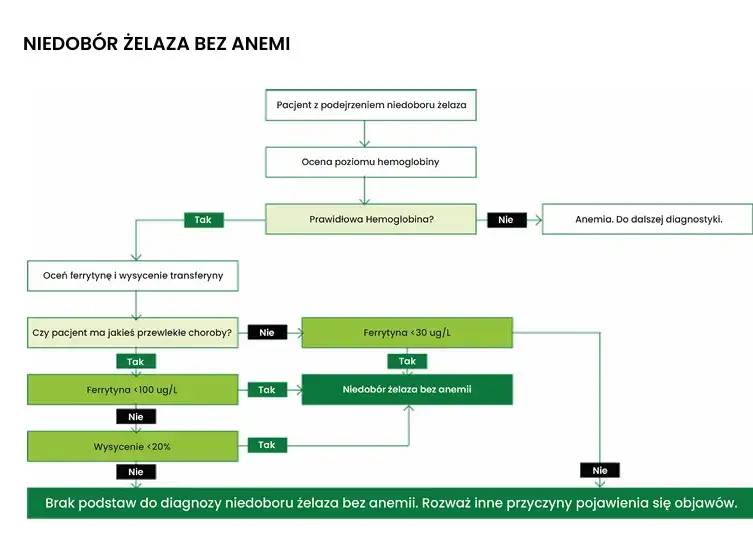 Ferrytyna: Co to za badanie? Normy, objawy i interpretacja wyników
