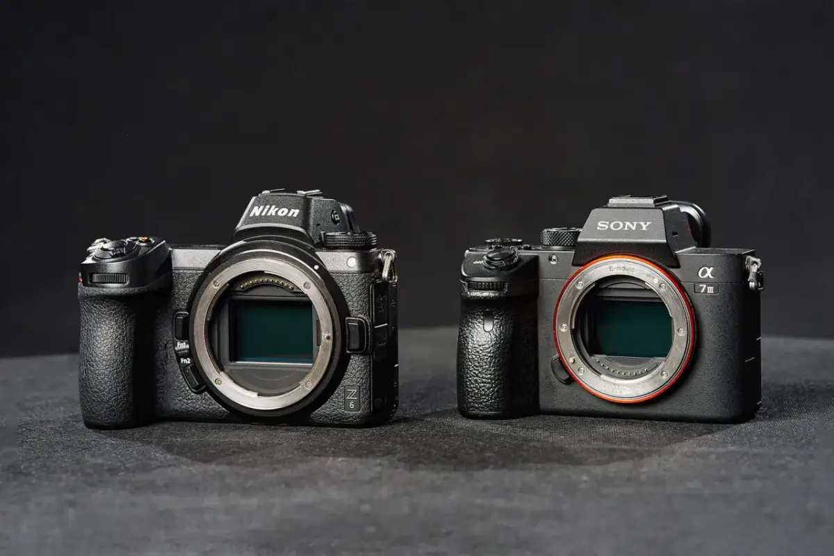 Nikon czy Sony lustrzanka - który wybór nie zawiedzie fotografa?