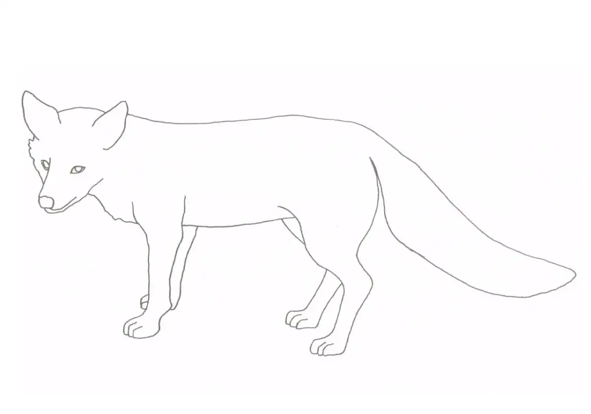 Darmowe kolorowanki lis do druku – pobierz i koloruj z radością