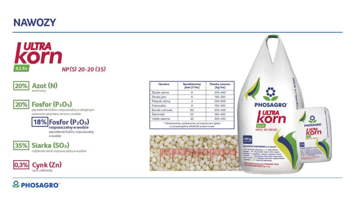 Jaki nawóz pod kukurydzę i ile naprawdę potrzebujesz dla wysokich plonów