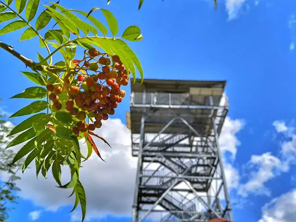 Pietrowice Wielkie: Atrakcje, które musisz zobaczyć!