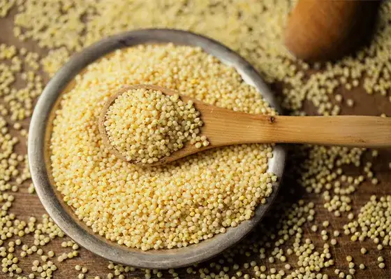 Czy proso to zboże? Odkryj jego właściwości i zastosowanie w diecie