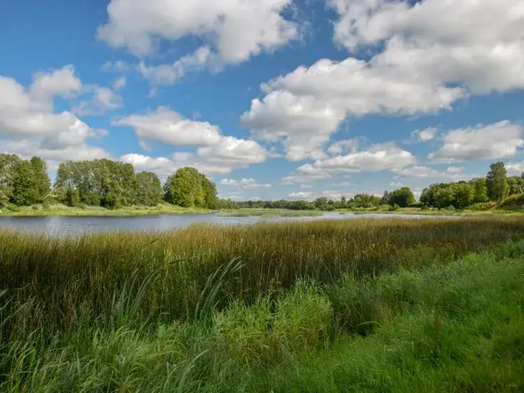 Budowa na terenie zalewowym: Pozwolenie, Wody Polskie, koszty. Czy warto?