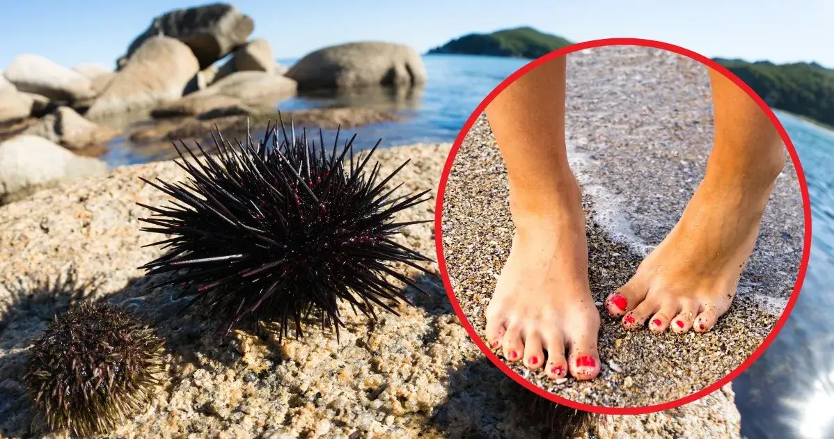 Jakie leki na wyjazd do Chorwacji, aby uniknąć problemów zdrowotnych