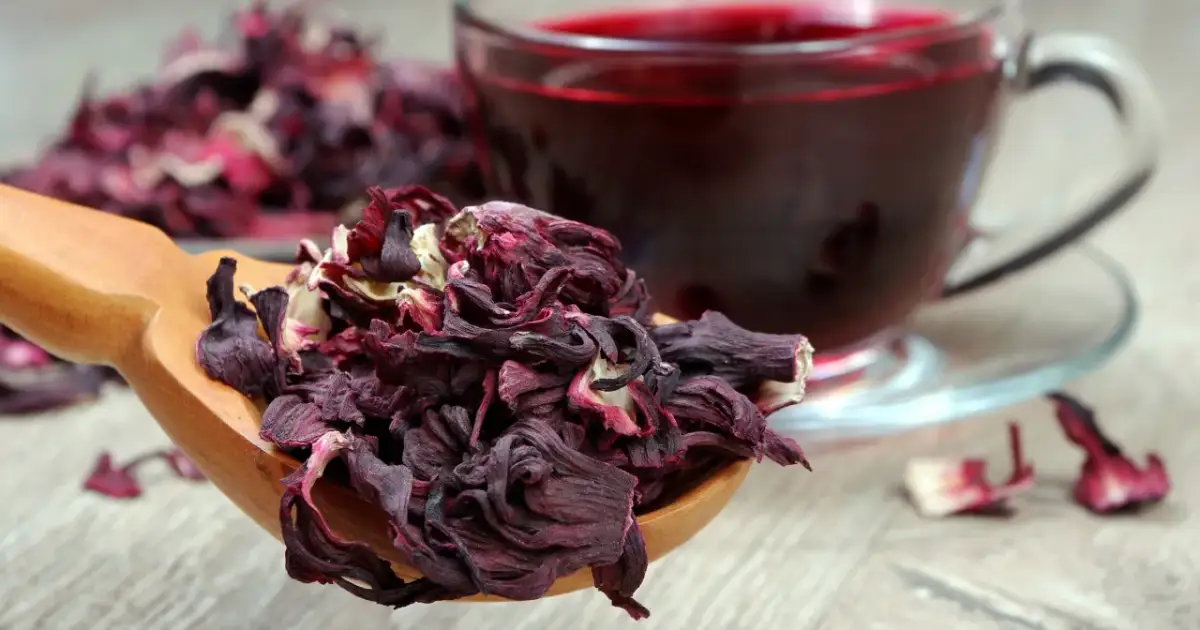 Suszone płatki hibiskusa na drewnianej łyżce i kubek z naparem. Hibiskus co to? To piękny, czerwony napój.