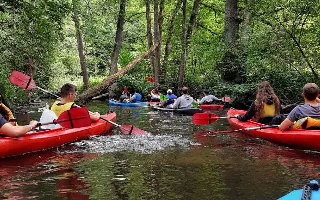Spływy kajakowe Pliszką: dzika przygoda i praktyczny przewodnik