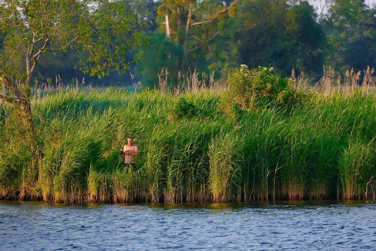W którym roku powstał polski związek wędkarski? Odkryj jego historię
