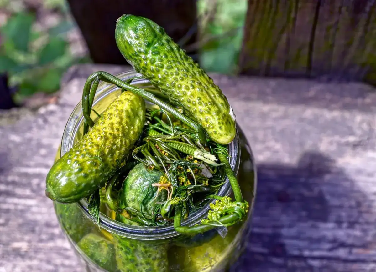 Słoik z ogórkami małosolnymi, koperkiem i czosnkiem. Idealny przepis na lato!