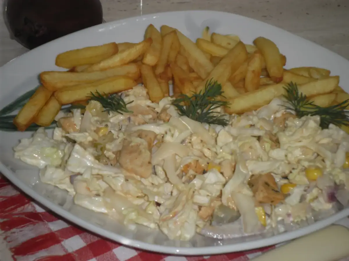 Kebab na talerzu z frytkami i surówką.