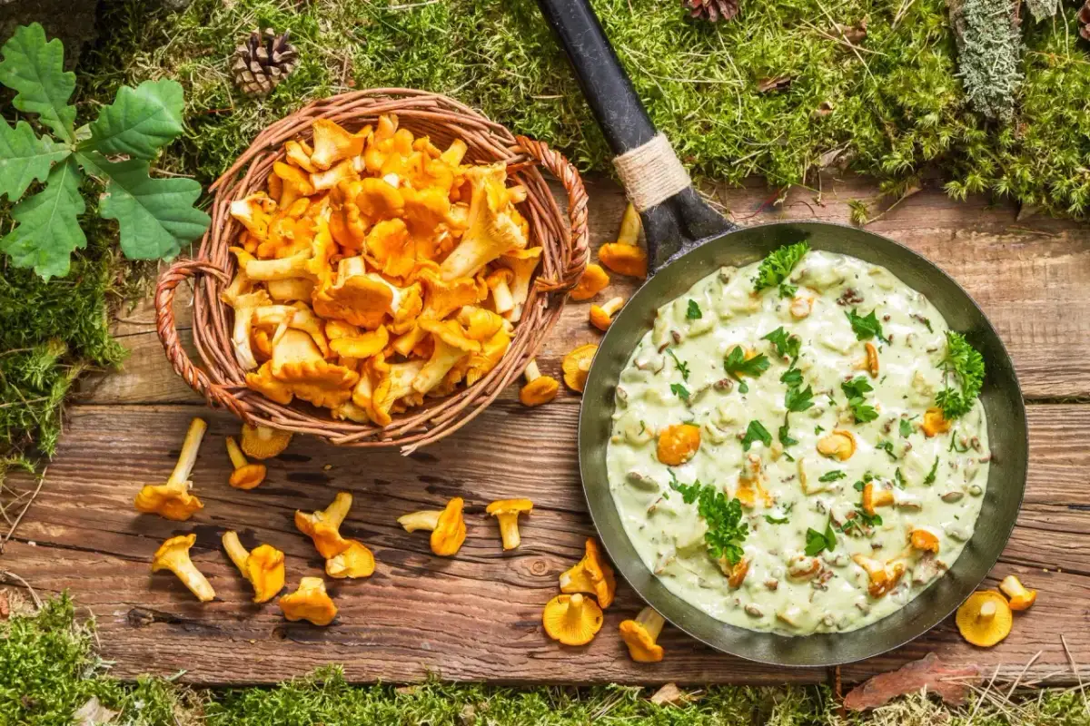 Prosty przepis na sos z kurek w śmietanie, który zachwyci każdego