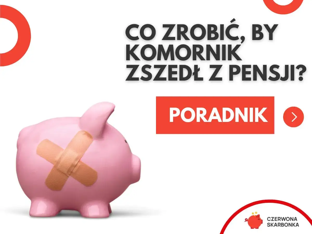 Różowa świnka-skarbonka z plastrem na boku. Tekst: "Co zrobić, by komornik zszedł z pensji?". Poradnik.