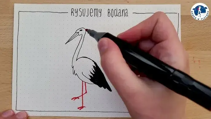Bocian krok po kroku: Jak narysować symbol wiosny z dzieckiem?