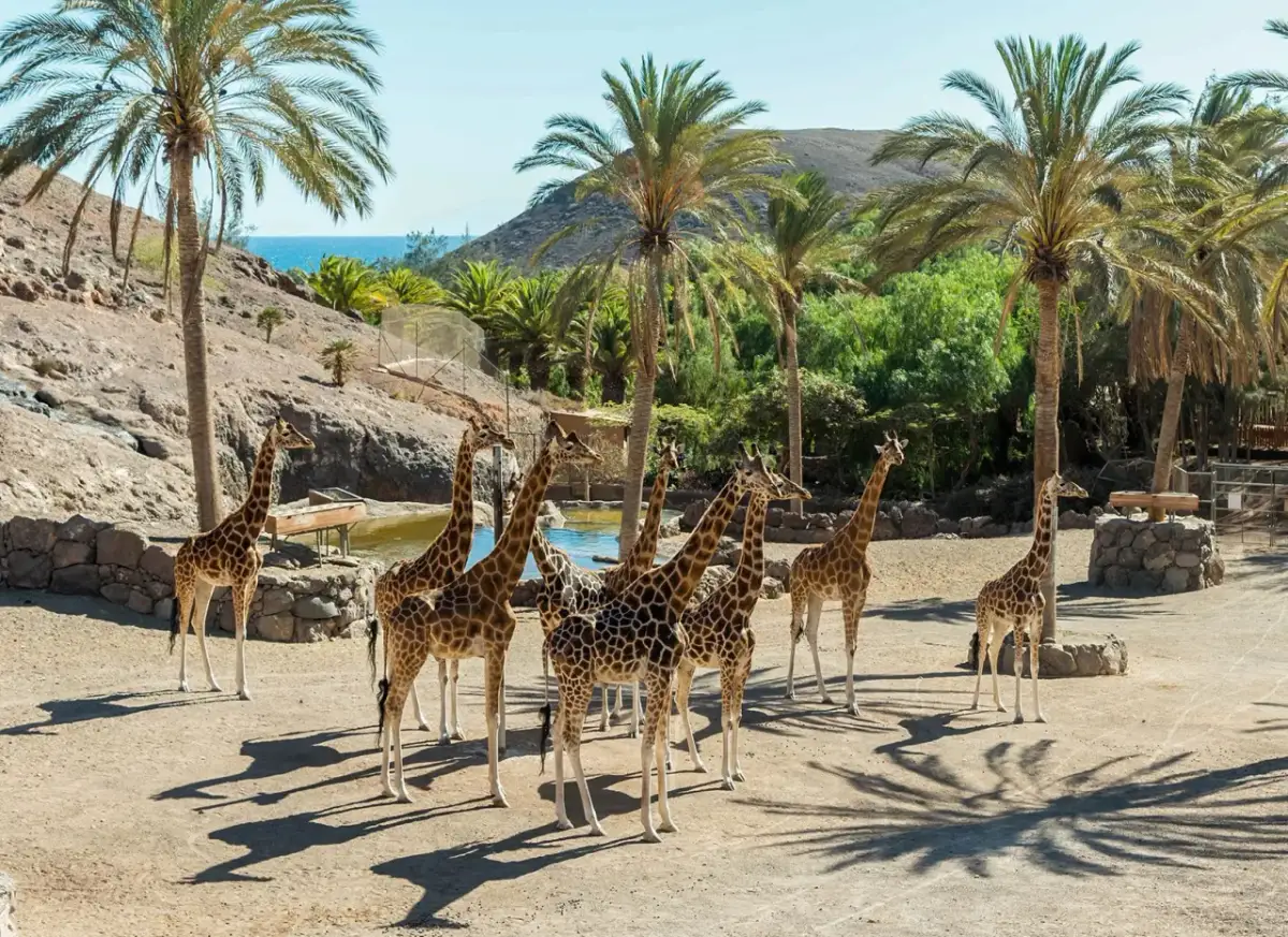 Fuerteventura: Najpiękniejsze Miejsca. Czy znasz te perełki?